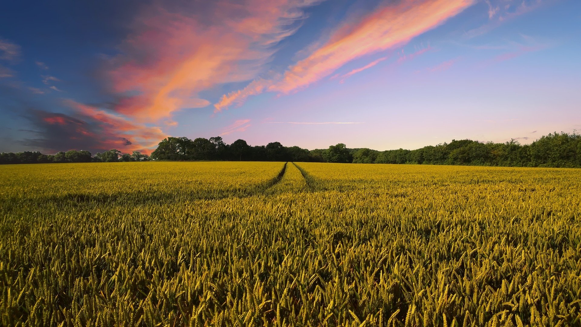 Countryside