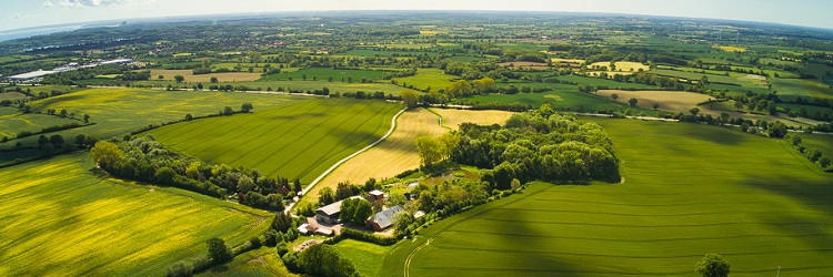 Farm drone view