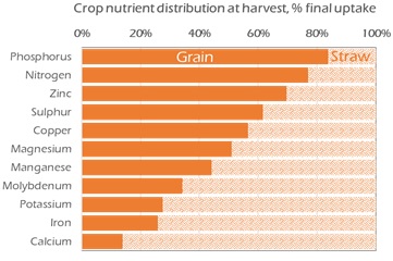Crop Nutrient Distribution