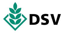 DSV logo